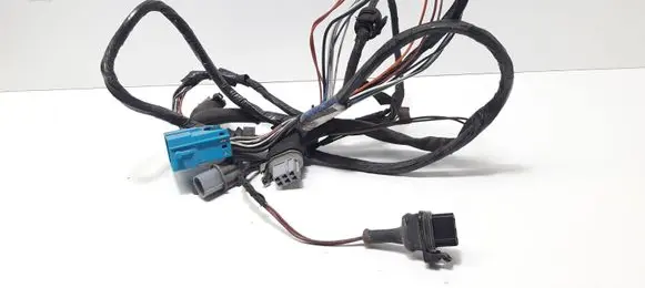 Renault Laguna I Other wiring loom