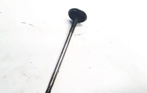 Renault Vel Satis Valve 
