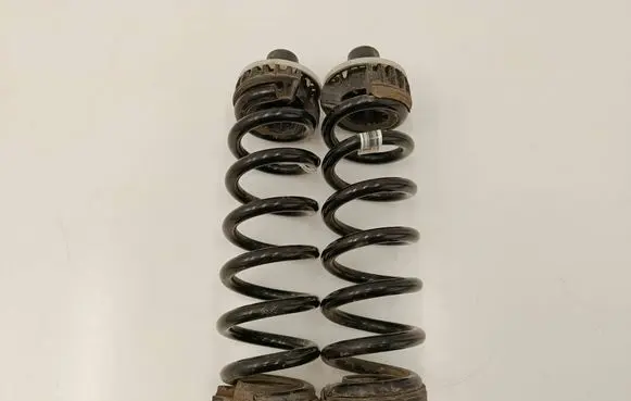 Rear coil spring