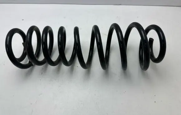 Ford Mustang V Rear coil spring BR335560AB