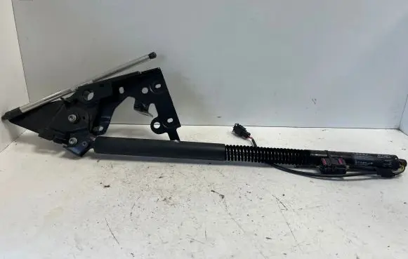 Tailgate strut