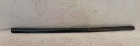 Tesla Model 3 Front door trim (molding) 1080684-01-I