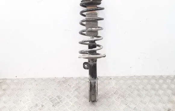 Opel Antara Front shock absorber with coil spring