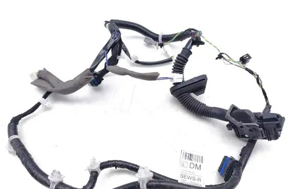 Nissan Leaf I (ZE0) Front door wiring loom 241253NM0A