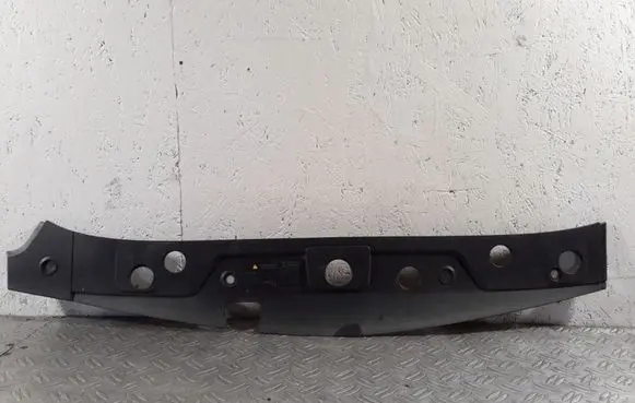 Engine bonnet/hood lock trim molding