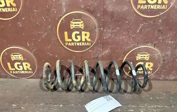 Rear coil spring