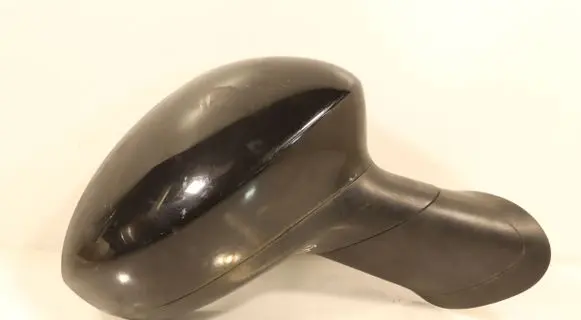Fiat Punto Evo Front door electric wing mirror E3011024