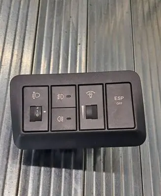 Hyundai Santa Fe Fog light switch 202002962