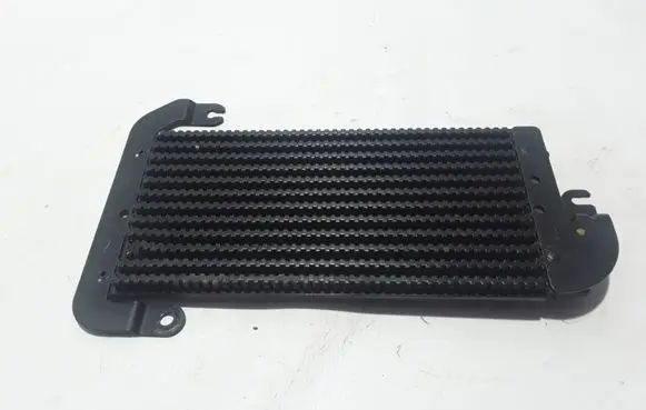 Opel Vivaro Optional radiator 175104049R