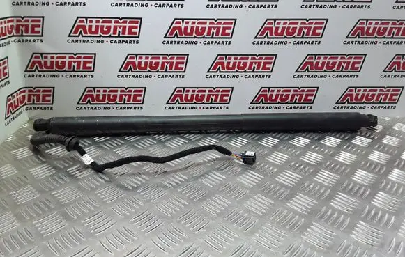 Tailgate/trunk/boot lift motor