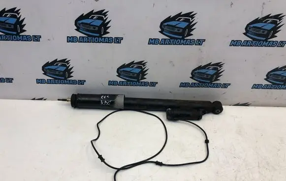 Rear shock absorber/damper