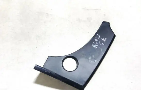 Rear/tail light trim molding