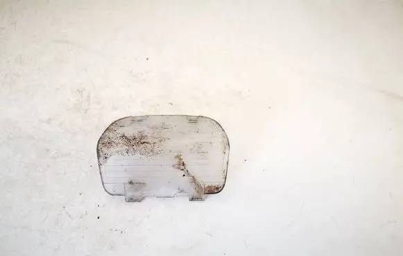 Honda Accord Rear door interior light 