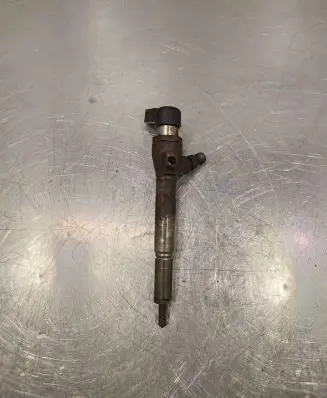 Renault Laguna III Fuel injector 8200380253 H8200294786