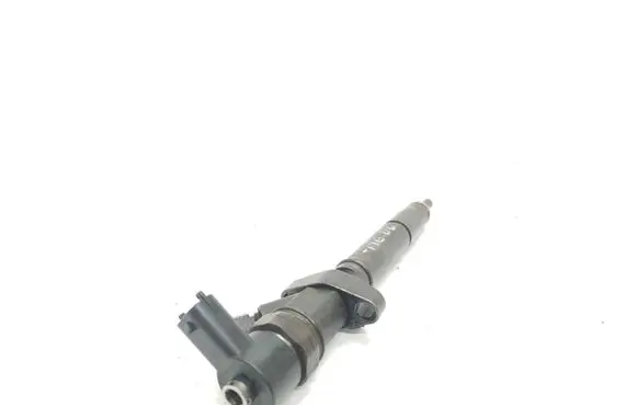 Renault Megane II Fuel injector 0445110