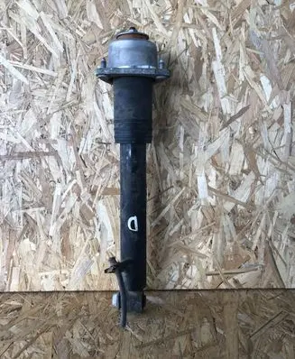 BMW X6 E71 Rear shock absorber/damper 33506788778