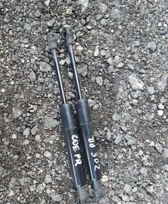 Renault Zoe Front bonnet/hood damper/strut 654707388R