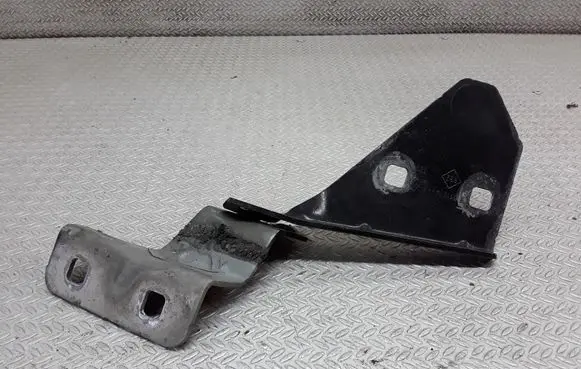 Renault Megane II Engine bonnet/hood hinges