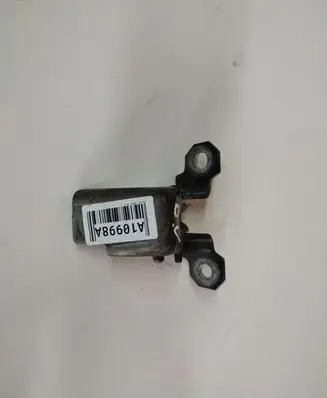 Renault Scenic III - Grand scenic III Rear door lower hinge