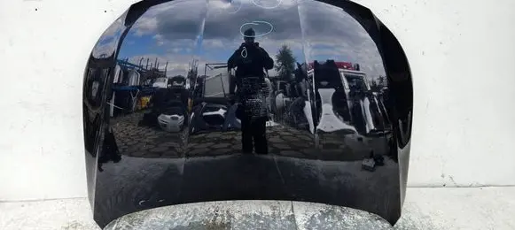 Engine bonnet/hood