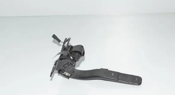 BMW i3 Tailgate/trunk/boot hinge 7296774 51247296774