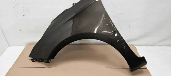 KIA Carens III Fender