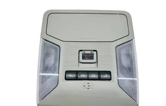 Toyota RAV 4 (XA50) Headlining lighting console trim 