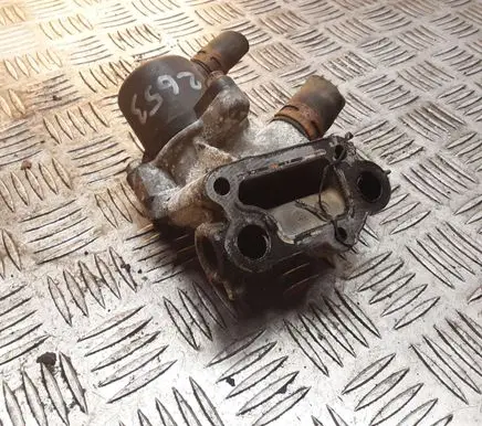 Thermostat/thermostat housing