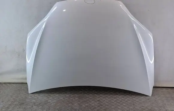 Engine bonnet/hood