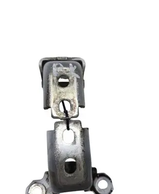 Renault Megane III Rear door lower hinge A073550