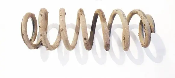 Rear coil spring