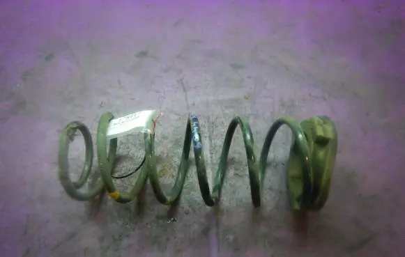 Hyundai i20 (PB PBT) Rear coil spring