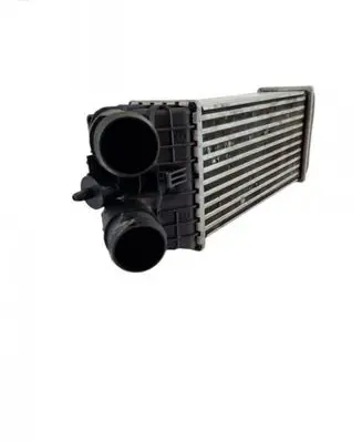 Citroen C3 Intercooler radiator 96594