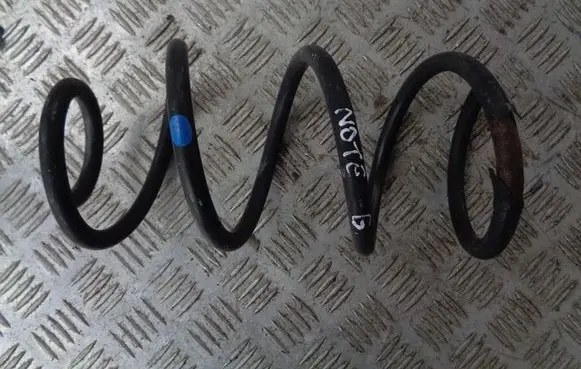 Rear coil spring