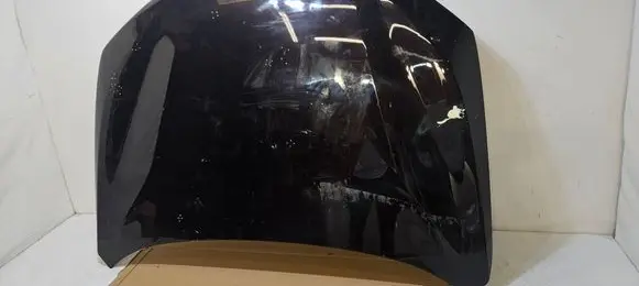 BMW X1 F48 F49 Engine bonnet/hood X1F48
