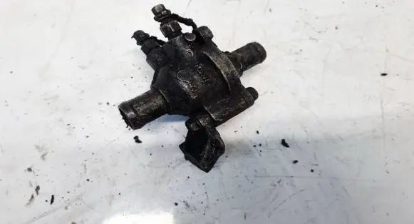 Renault Scenic I Engine coolant pipe/hose 0359311 0359211
