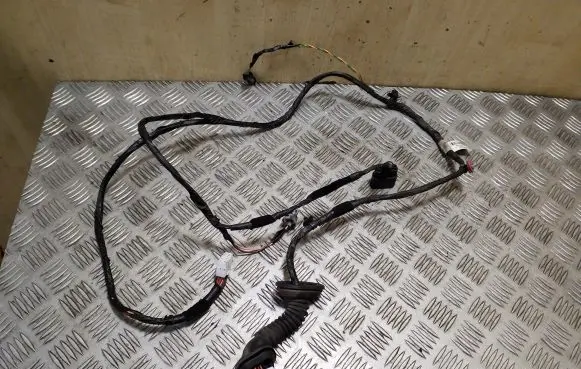 Rear door wiring loom