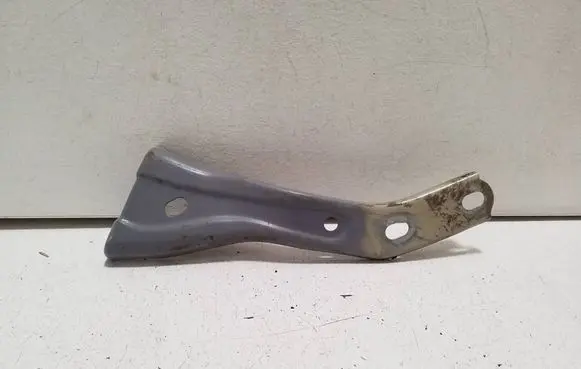 Cupra Born Fender mounting bracket 10E821135B