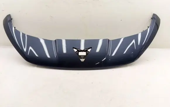 Cupra Tavascan Front bumper upper radiator grill 11H806333
