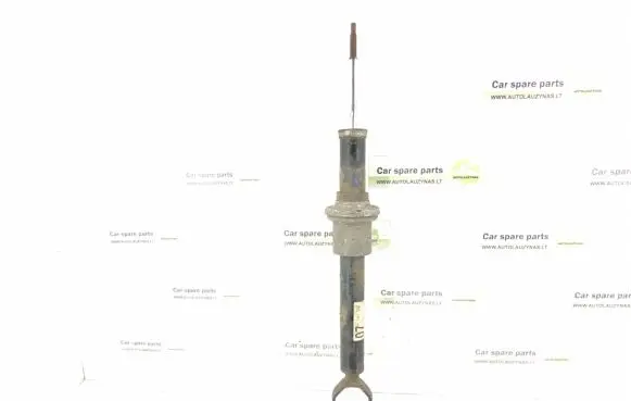 Mercedes-Benz CLS C219 Front shock absorber/damper 2193200713 A2193200713