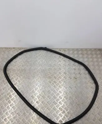 Rear door rubber seal (on body)