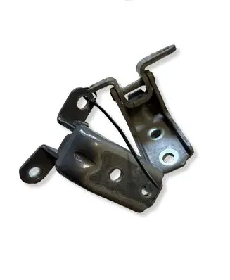 Hyundai Ioniq 5 Rear door lower hinge 