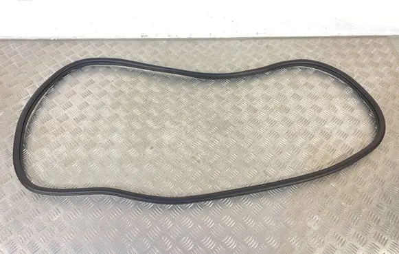MG ZS Rear door rubber seal (on body) 119180788