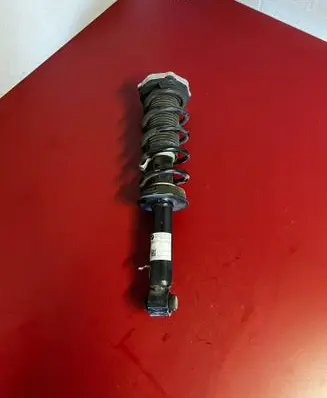 BMW X3 G01 Rear shock absorber with coil spring 6871801 33506871801