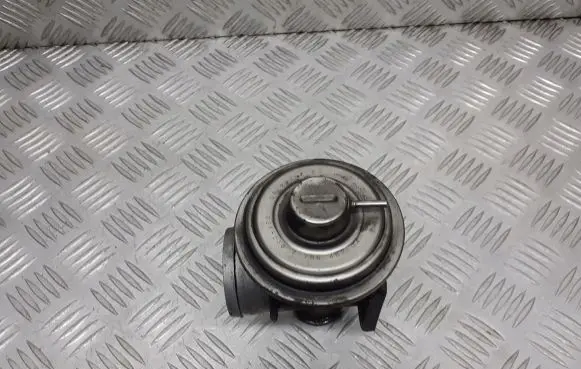 BMW 5 E39 EGR valve