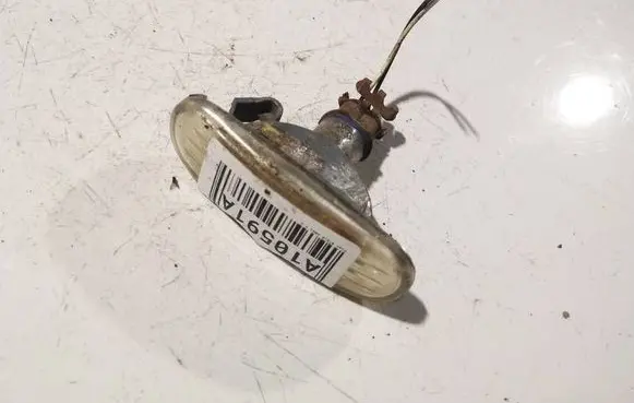Front fender indicator light