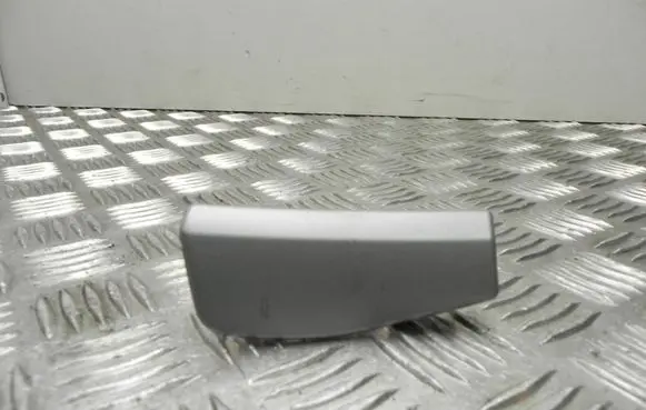 Radio/GPS head unit trim