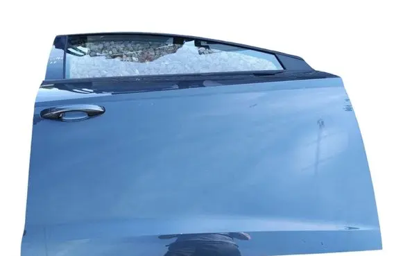 Seat Leon (5F) Front door 