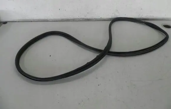 Renault Scenic II - Grand scenic II Rear door rubber seal (on body) 