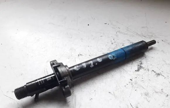 Citroen C5 Fuel injector 9656389980